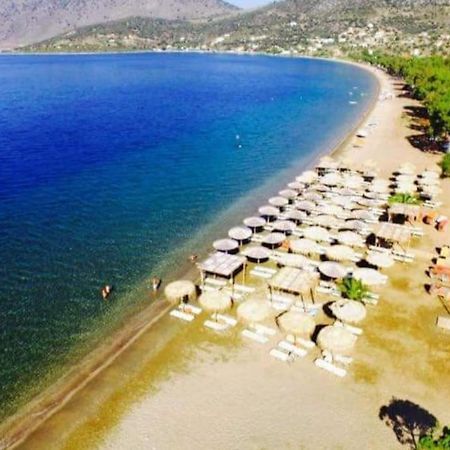 White Villa In Olive Trees And Seaview To Panagia Almiropotamos Exterior photo