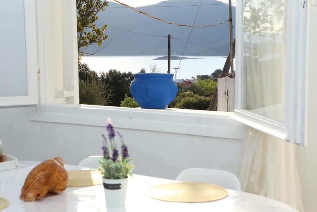 White Villa In Olive Trees And Seaview To Panagia Almiropotamos Exterior photo