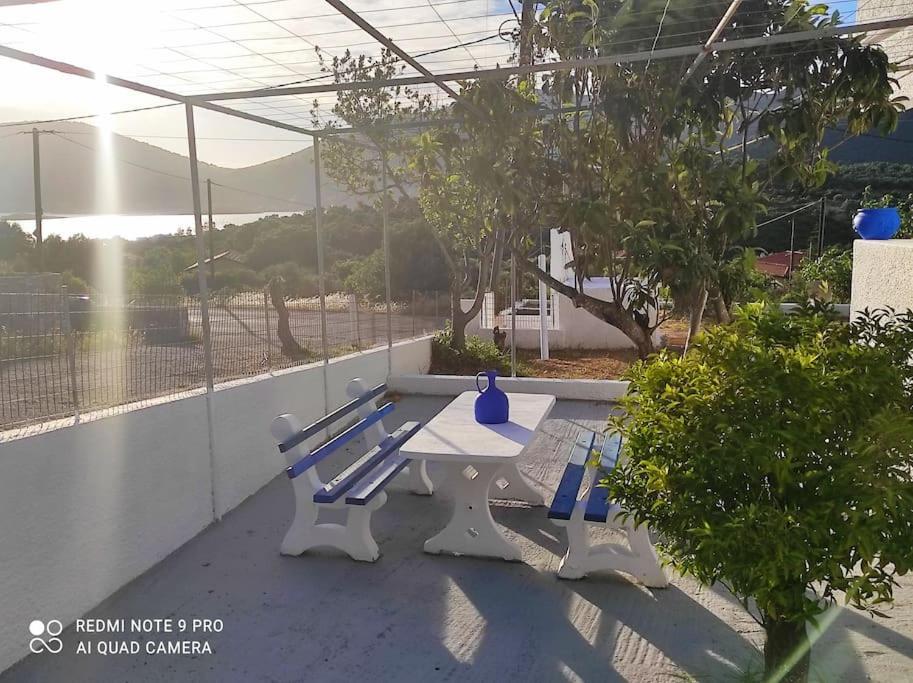 White Villa In Olive Trees And Seaview To Panagia Almiropotamos Exterior photo