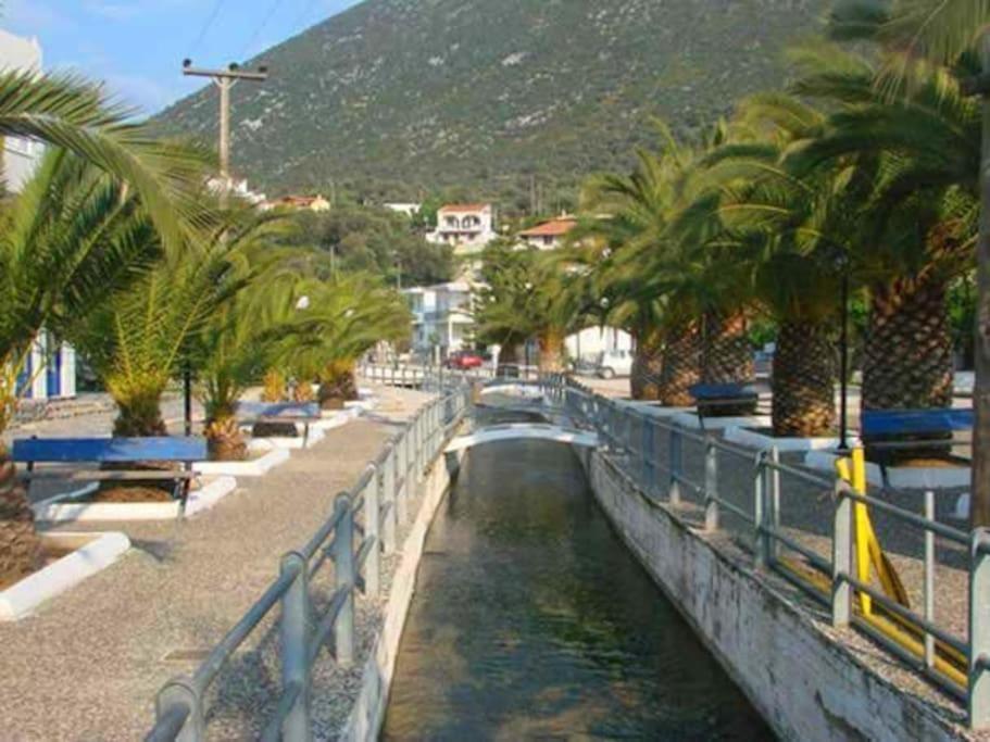 White Villa In Olive Trees And Seaview To Panagia Almiropotamos Exterior photo