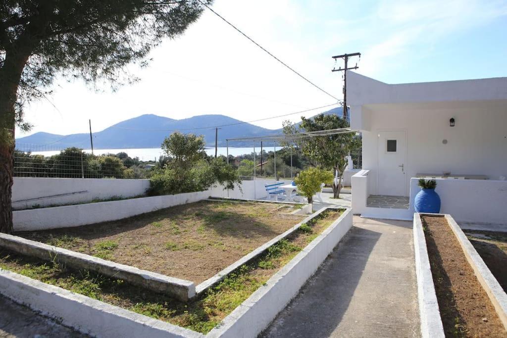 White Villa In Olive Trees And Seaview To Panagia Almiropotamos Exterior photo