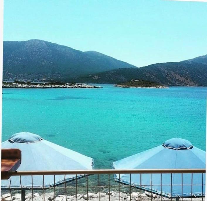 White Villa In Olive Trees And Seaview To Panagia Almiropotamos Exterior photo