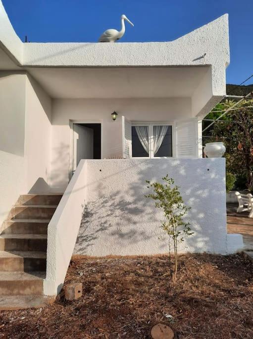 White Villa In Olive Trees And Seaview To Panagia Almiropotamos Exterior photo