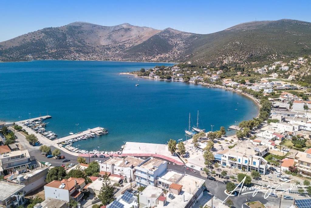 White Villa In Olive Trees And Seaview To Panagia Almiropotamos Exterior photo
