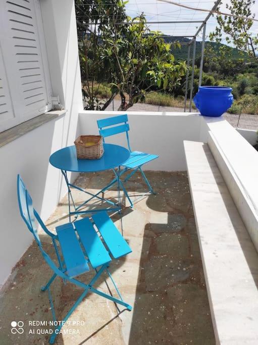 White Villa In Olive Trees And Seaview To Panagia Almiropotamos Exterior photo