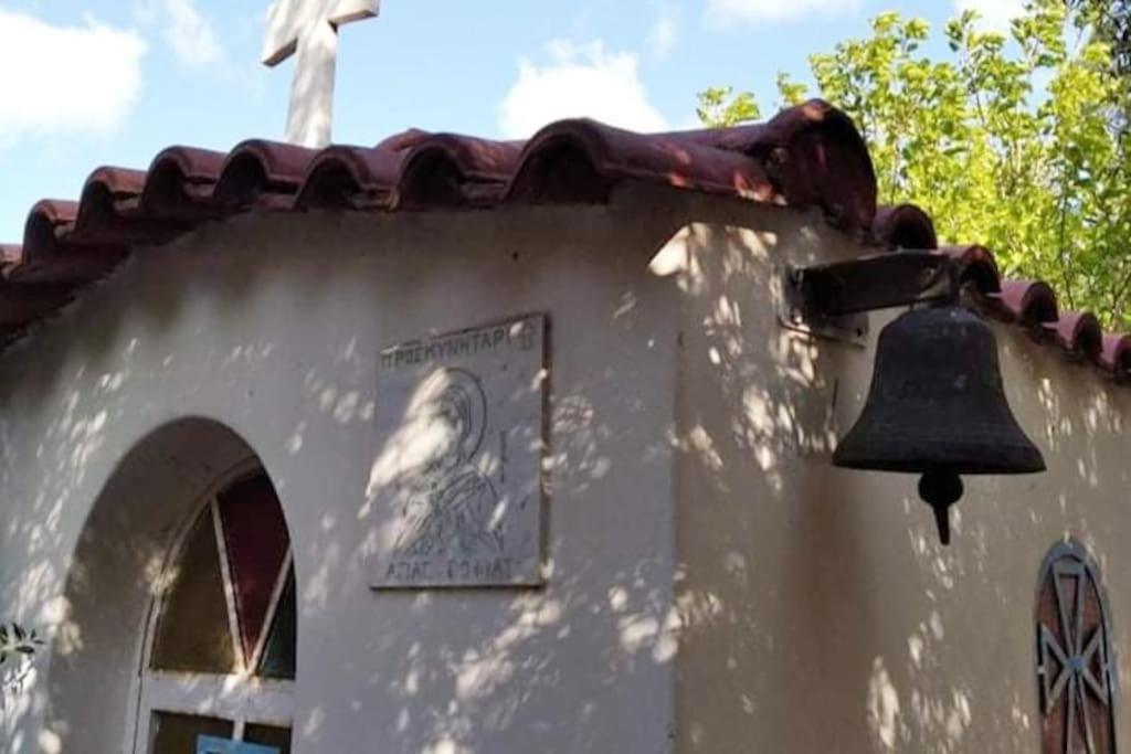 White Villa In Olive Trees And Seaview To Panagia Almiropotamos Exterior photo